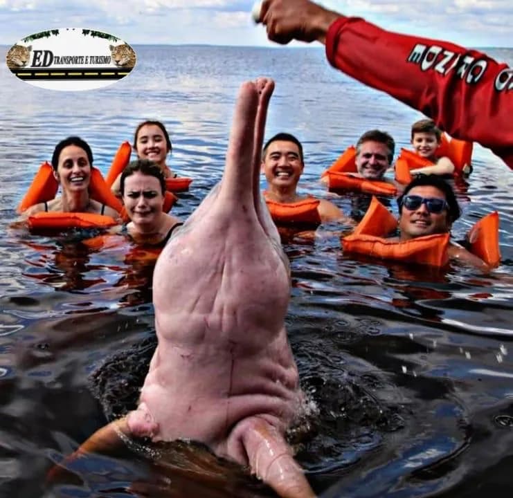 Encontro das Águas